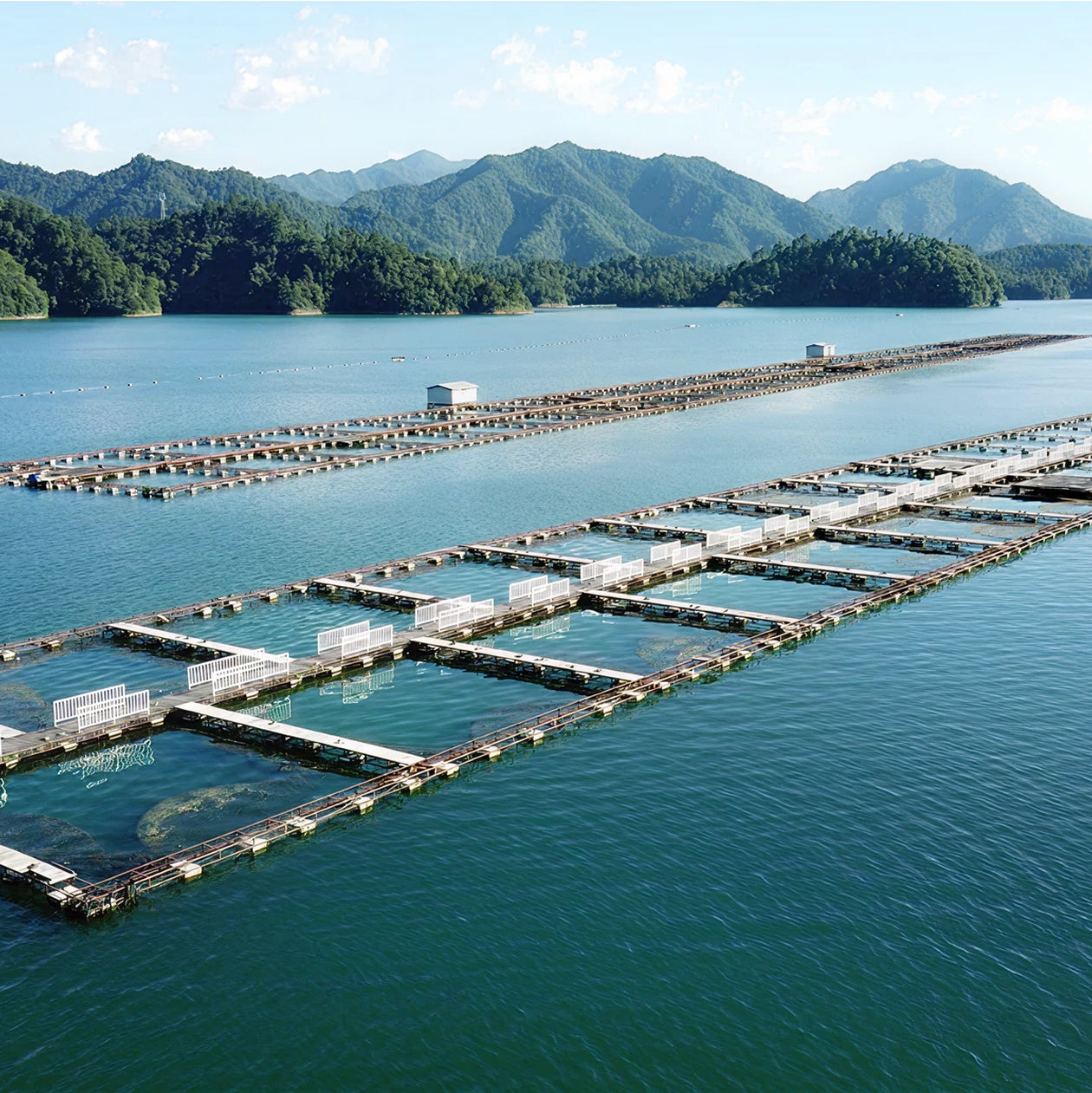 Aquaculture farm