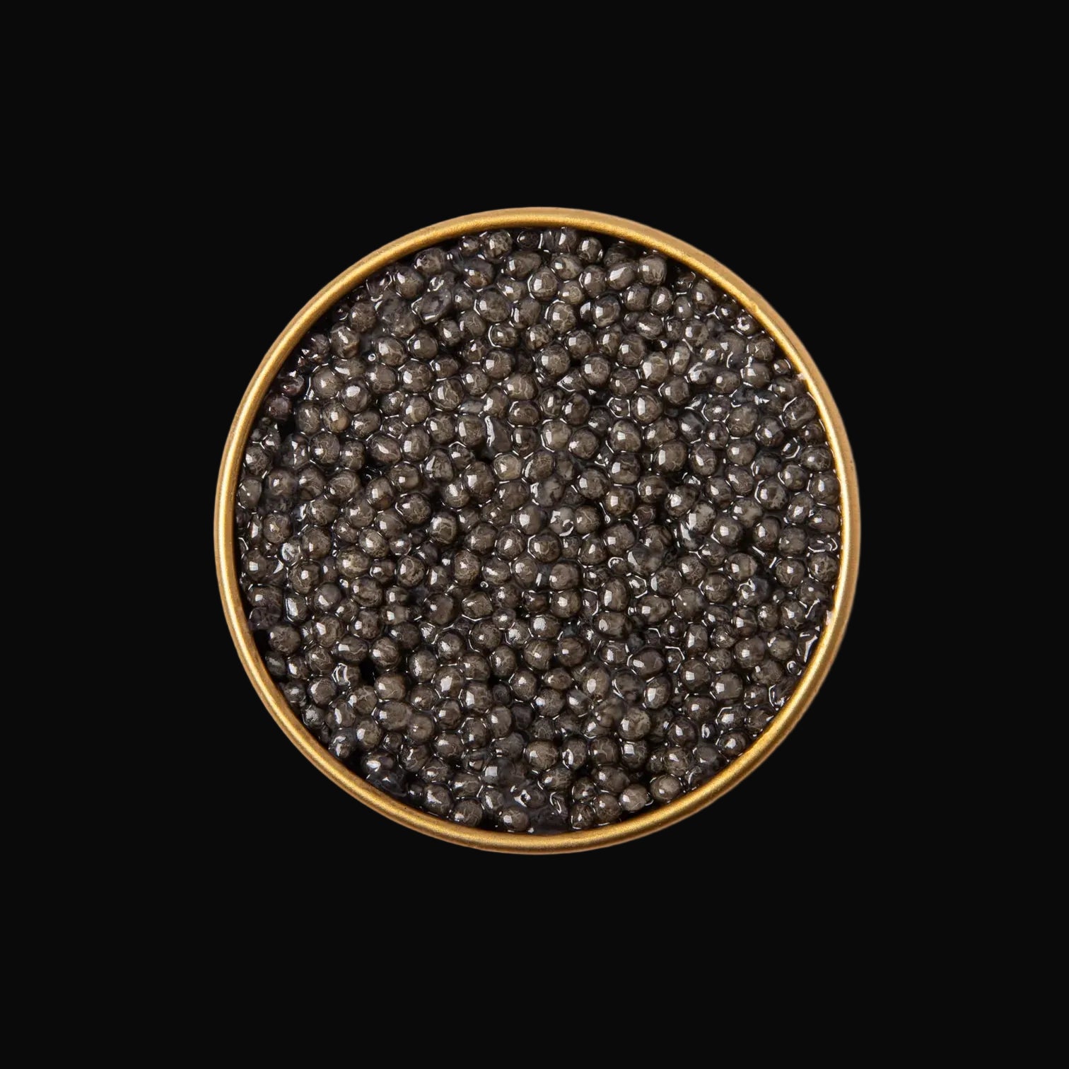 Beluga Imperia caviar tin filled with black caviar on a white background