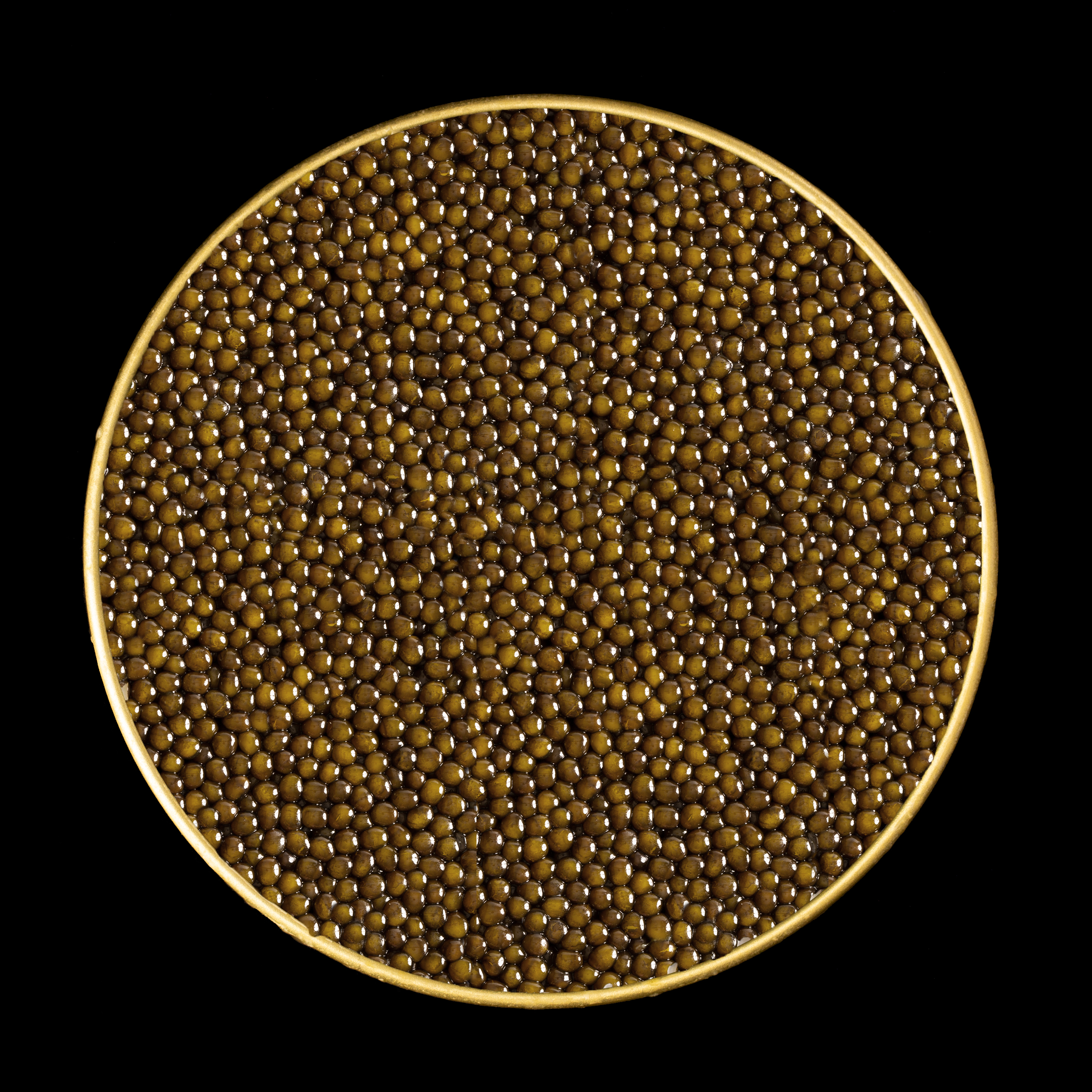 Kaluga Hybrid Reserve Caviar