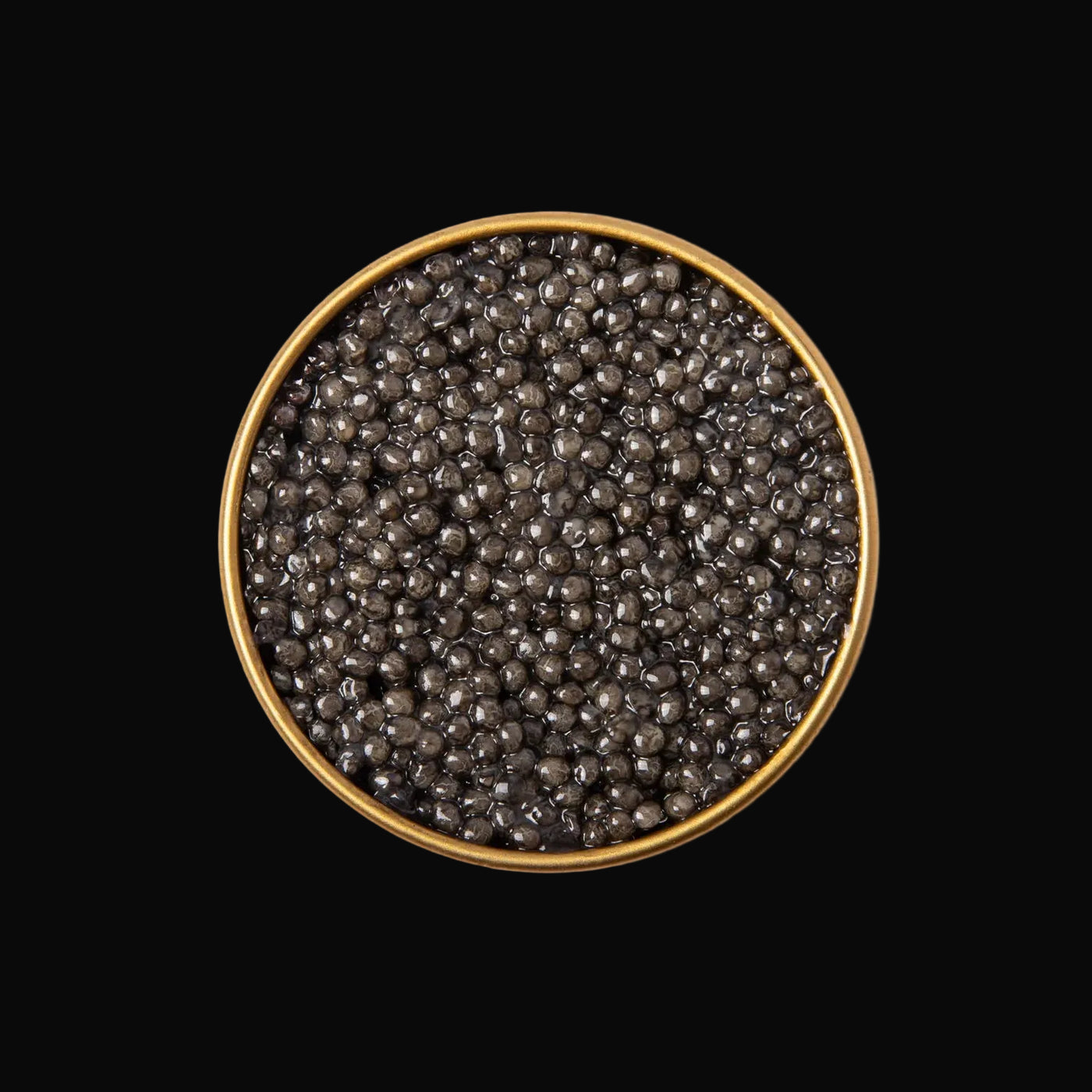Where Our Beluga Caviar Comes From