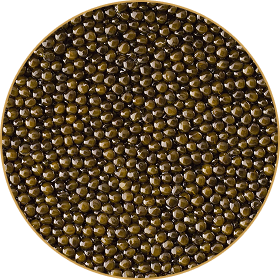Caviar