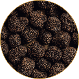 Truffle